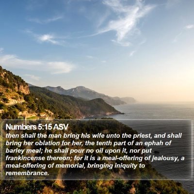 Numbers 5:15 ASV Bible Verse Image