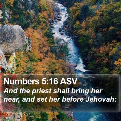 Numbers 5:16 ASV Bible Verse Image