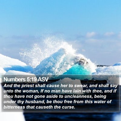 Numbers 5:19 ASV Bible Verse Image