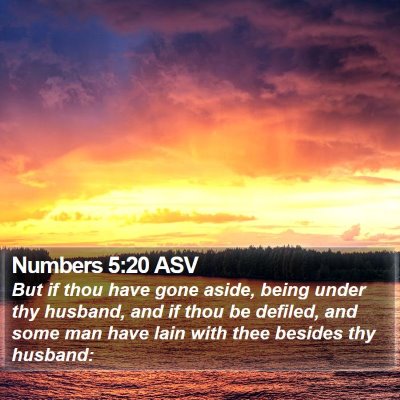 Numbers 5:20 ASV Bible Verse Image