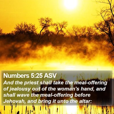 Numbers 5:25 ASV Bible Verse Image
