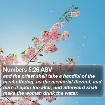 Numbers 5:26 ASV Bible Verse Image