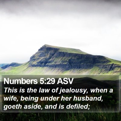 Numbers 5:29 ASV Bible Verse Image