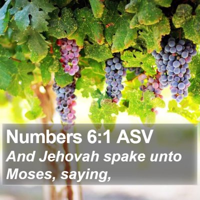 Numbers 6:1 ASV Bible Verse Image