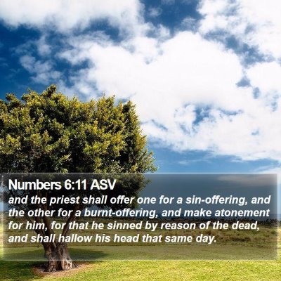 Numbers 6:11 ASV Bible Verse Image