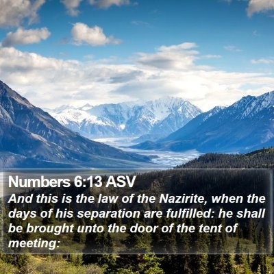 Numbers 6:13 ASV Bible Verse Image