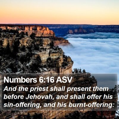 Numbers 6:16 ASV Bible Verse Image