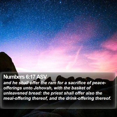 Numbers 6:17 ASV Bible Verse Image