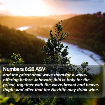 Numbers 6:20 ASV Bible Verse Image