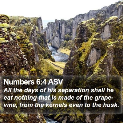 Numbers 6:4 ASV Bible Verse Image