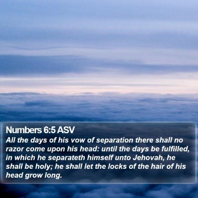 Numbers 6:5 ASV Bible Verse Image