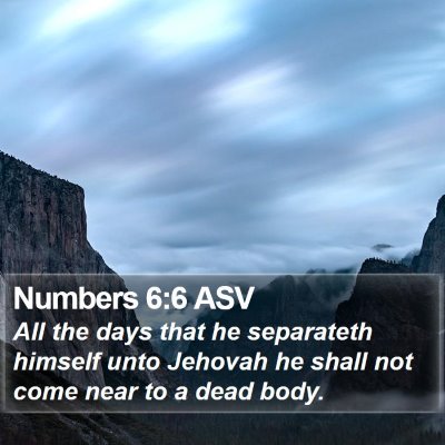 Numbers 6:6 ASV Bible Verse Image