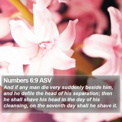 Numbers 6:9 ASV Bible Verse Image