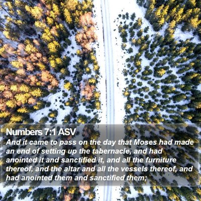 Numbers 7:1 ASV Bible Verse Image