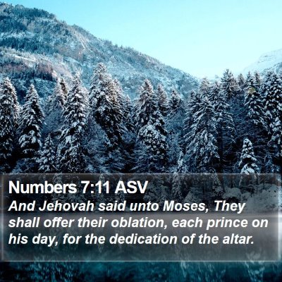 Numbers 7:11 ASV Bible Verse Image