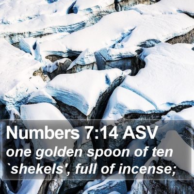Numbers 7:14 ASV Bible Verse Image