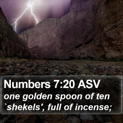 Numbers 7:20 ASV Bible Verse Image