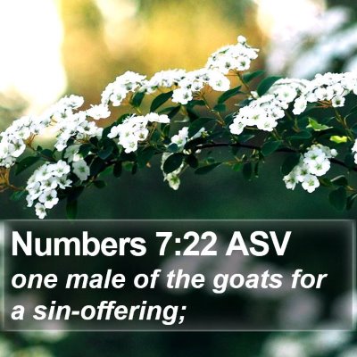 Numbers 7:22 ASV Bible Verse Image