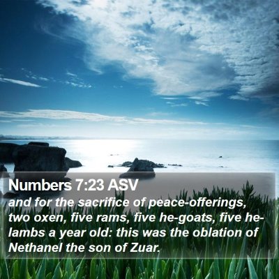 Numbers 7:23 ASV Bible Verse Image