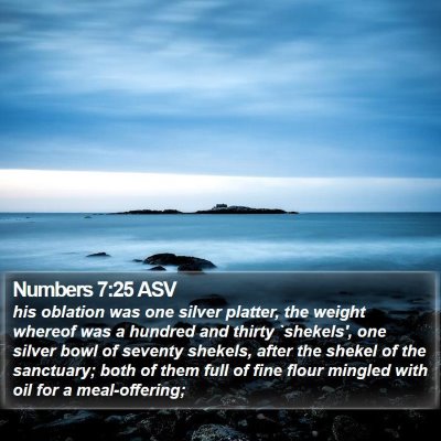 Numbers 7:25 ASV Bible Verse Image