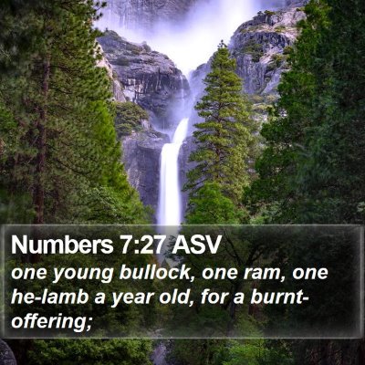 Numbers 7:27 ASV Bible Verse Image