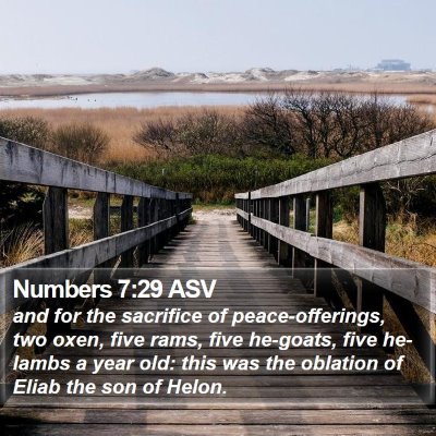 Numbers 7:29 ASV Bible Verse Image