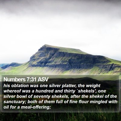 Numbers 7:31 ASV Bible Verse Image