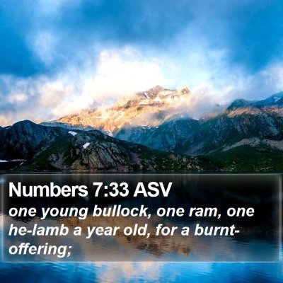 Numbers 7:33 ASV Bible Verse Image