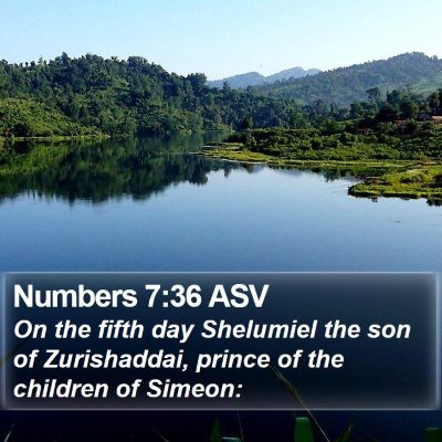 Numbers 7:36 ASV Bible Verse Image