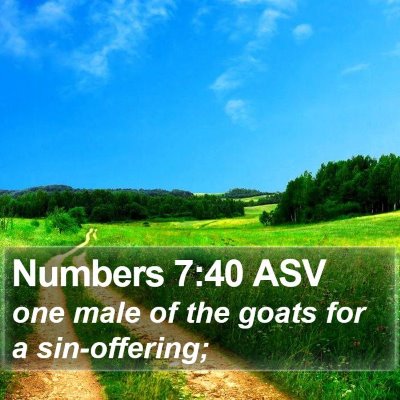 Numbers 7:40 ASV Bible Verse Image