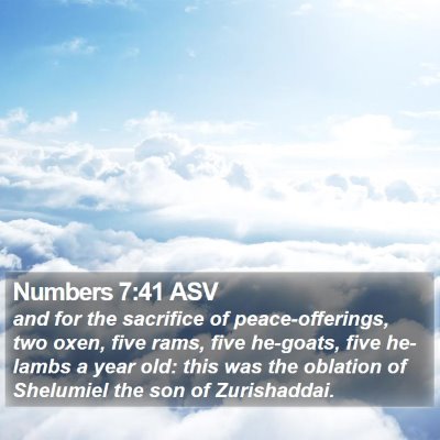 Numbers 7:41 ASV Bible Verse Image