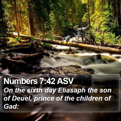 Numbers 7:42 ASV Bible Verse Image