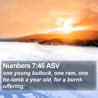Numbers 7:45 ASV Bible Verse Image