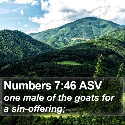 Numbers 7:46 ASV Bible Verse Image