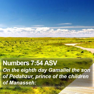 Numbers 7:54 ASV Bible Verse Image