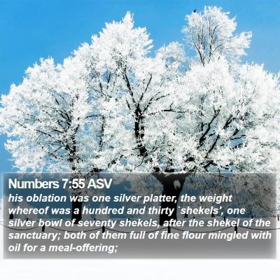 Numbers 7:55 ASV Bible Verse Image