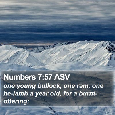 Numbers 7:57 ASV Bible Verse Image