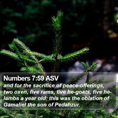 Numbers 7:59 ASV Bible Verse Image