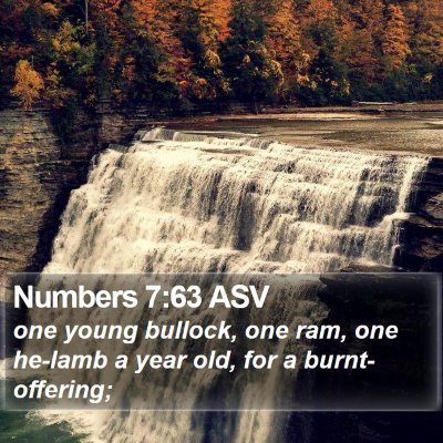 Numbers 7:63 ASV Bible Verse Image