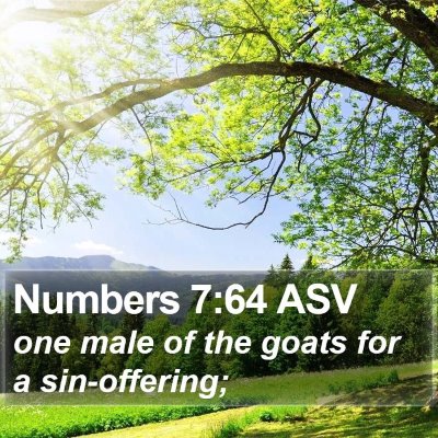 Numbers 7:64 ASV Bible Verse Image