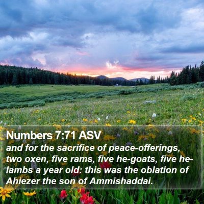 Numbers 7:71 ASV Bible Verse Image