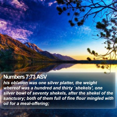 Numbers 7:73 ASV Bible Verse Image