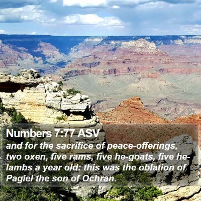 Numbers 7:77 ASV Bible Verse Image