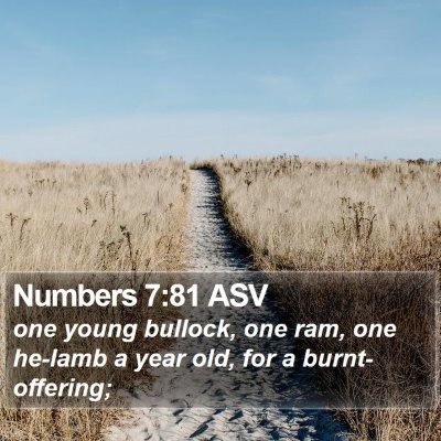 Numbers 7:81 ASV Bible Verse Image