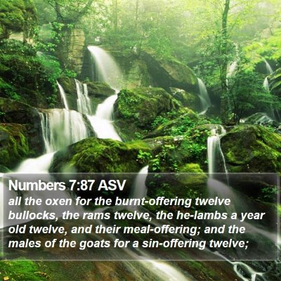 Numbers 7:87 ASV Bible Verse Image
