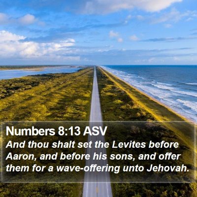Numbers 8:13 ASV Bible Verse Image
