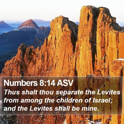Numbers 8:14 ASV Bible Verse Image