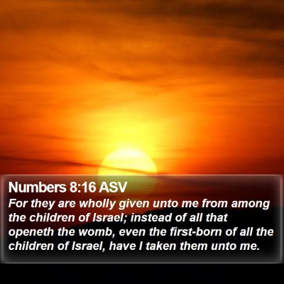 Numbers 8:16 ASV Bible Verse Image