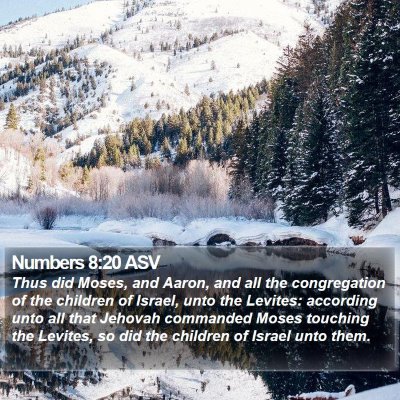 Numbers 8:20 ASV Bible Verse Image