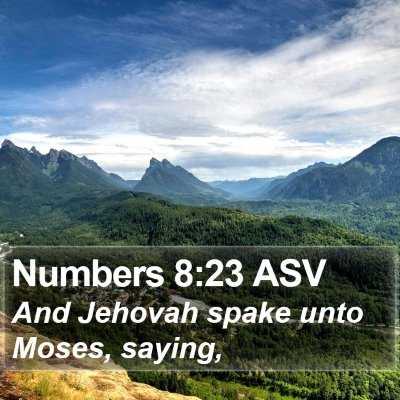 Numbers 8:23 ASV Bible Verse Image